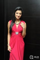 Richa Panai at Player Movie Poster Launch